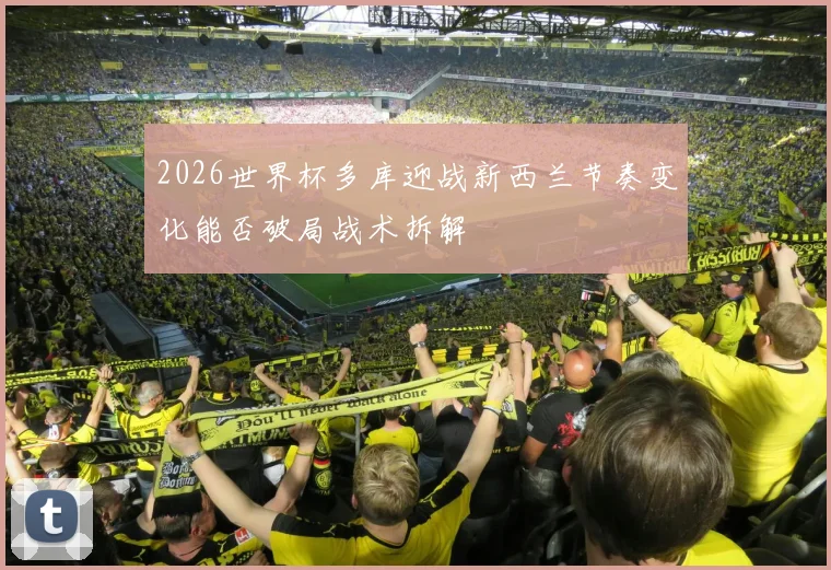 2026世界杯多库迎战新西兰节奏变化能否破局战术拆解