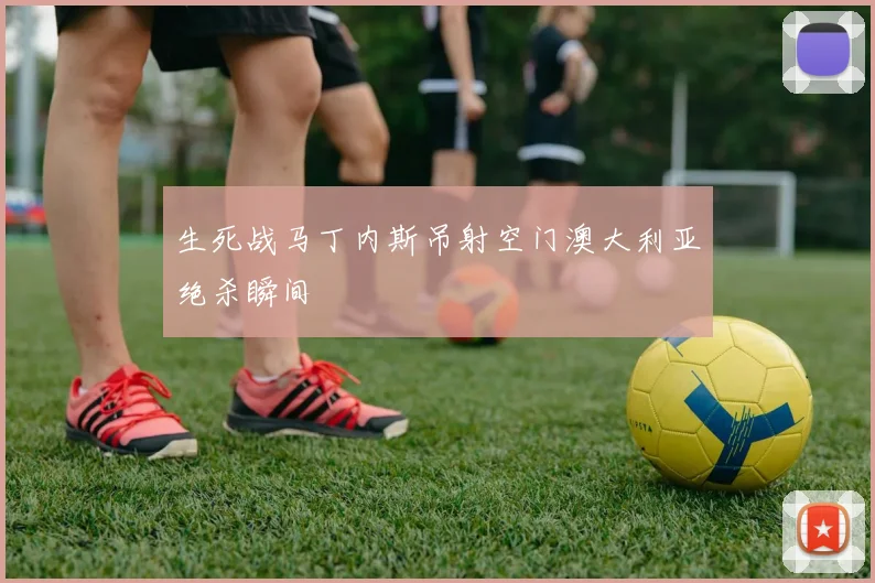 生死战马丁内斯吊射空门澳大利亚绝杀瞬间