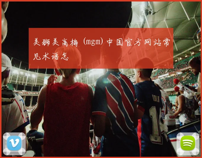 美狮美高梅 (mgm)中国官方网站常见术语怎
