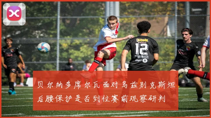 贝尔纳多席尔瓦面对乌兹别克斯坦后腰保护是否到位赛前观察研判