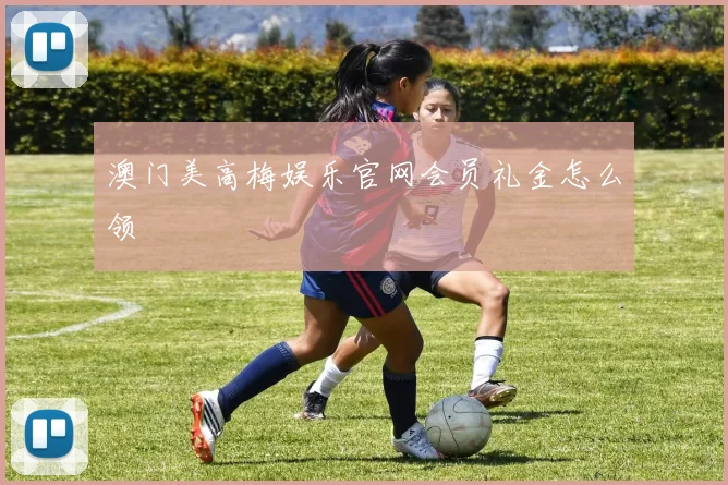 澳门美高梅娱乐官网会员礼金怎么领